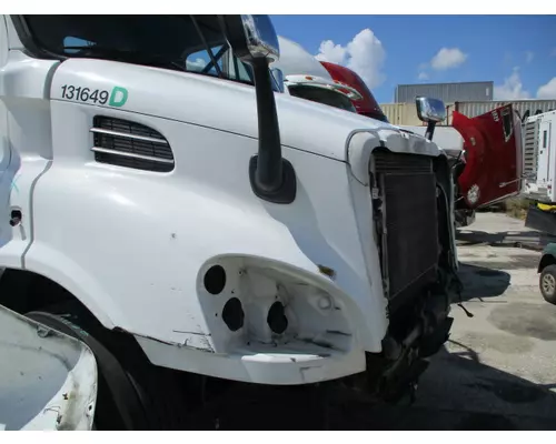 FREIGHTLINER CASCADIA 113 HOOD