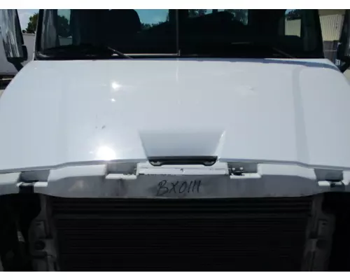 FREIGHTLINER CASCADIA 113 HOOD