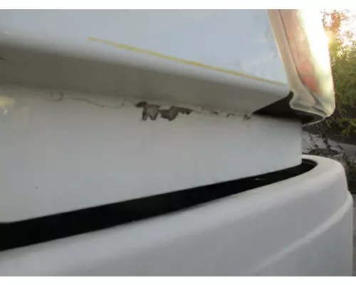 FREIGHTLINER CASCADIA 113 HOOD