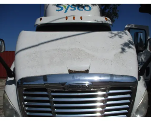 FREIGHTLINER CASCADIA 113 HOOD