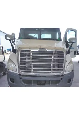 FREIGHTLINER CASCADIA 113 HOOD