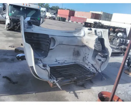 FREIGHTLINER CASCADIA 113 HOOD