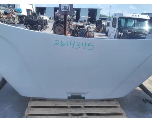 FREIGHTLINER CASCADIA 113 HOOD
