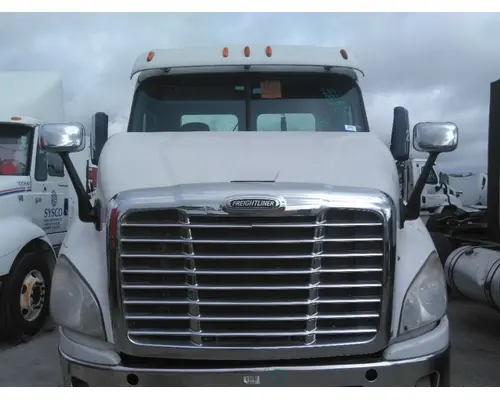 FREIGHTLINER CASCADIA 113 HOOD