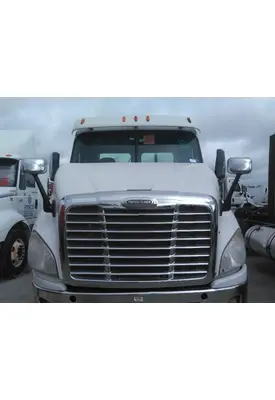 FREIGHTLINER CASCADIA 113 HOOD