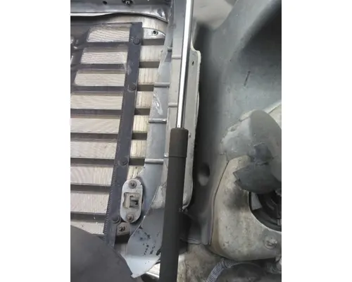 FREIGHTLINER CASCADIA 113 HOOD