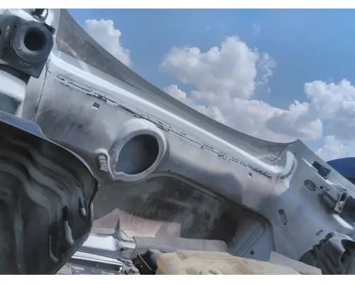 FREIGHTLINER CASCADIA 113 HOOD