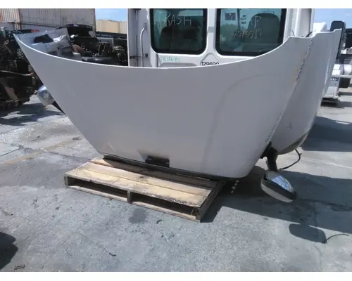 FREIGHTLINER CASCADIA 113 HOOD