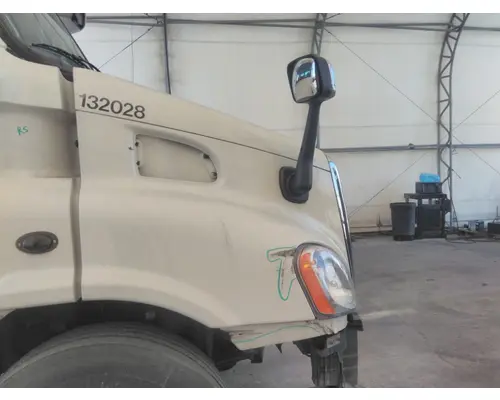 FREIGHTLINER CASCADIA 113 HOOD