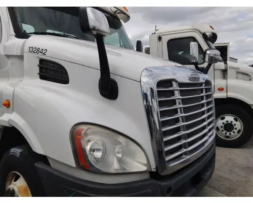 FREIGHTLINER CASCADIA 113 HOOD