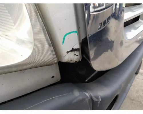 FREIGHTLINER CASCADIA 113 HOOD
