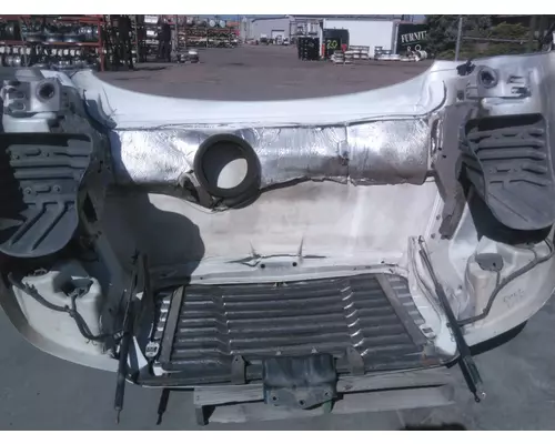 FREIGHTLINER CASCADIA 113 HOOD