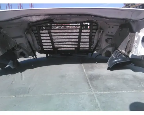 FREIGHTLINER CASCADIA 113 HOOD
