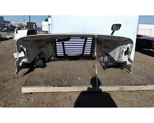 FREIGHTLINER CASCADIA 113 HOOD