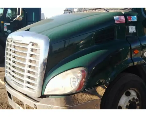 FREIGHTLINER CASCADIA 113 HOOD