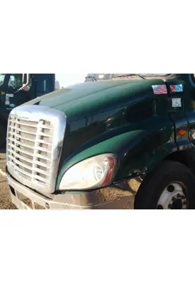 FREIGHTLINER CASCADIA 113 HOOD