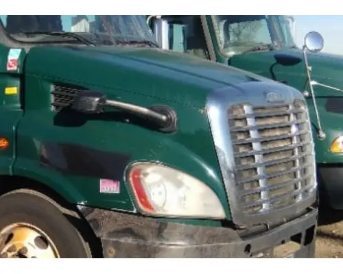 FREIGHTLINER CASCADIA 113 HOOD
