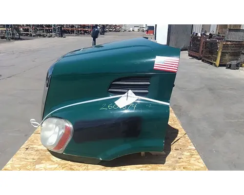 FREIGHTLINER CASCADIA 113 HOOD