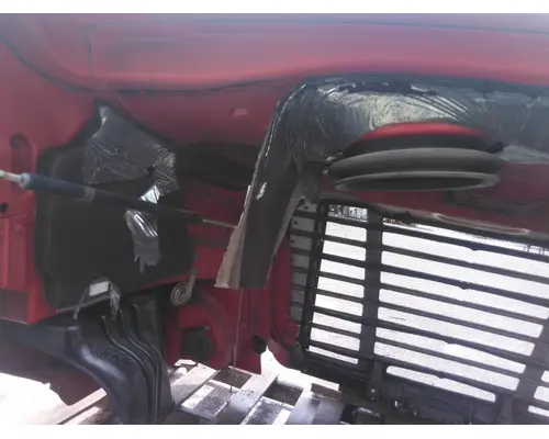 FREIGHTLINER CASCADIA 113 HOOD