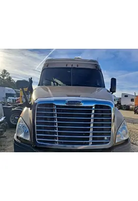 FREIGHTLINER CASCADIA 113 HOOD