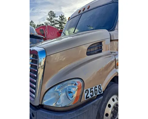 FREIGHTLINER CASCADIA 113 HOOD
