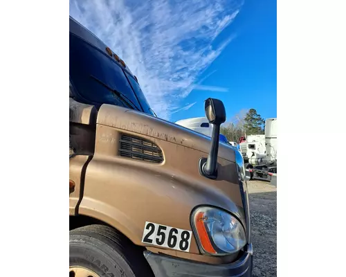 FREIGHTLINER CASCADIA 113 HOOD