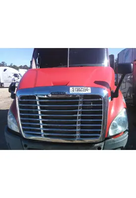 FREIGHTLINER CASCADIA 113 HOOD