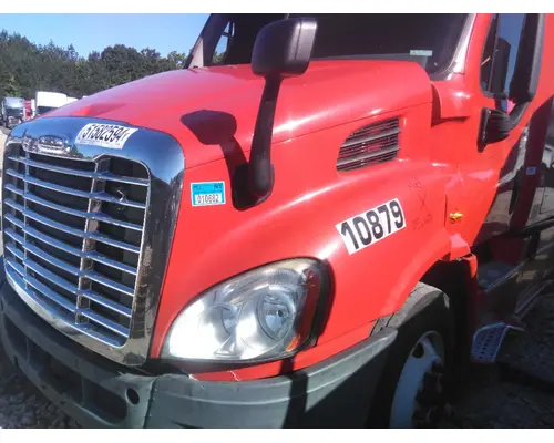 FREIGHTLINER CASCADIA 113 HOOD