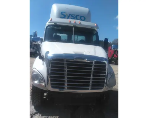 FREIGHTLINER CASCADIA 113 HOOD