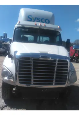 FREIGHTLINER CASCADIA 113 HOOD