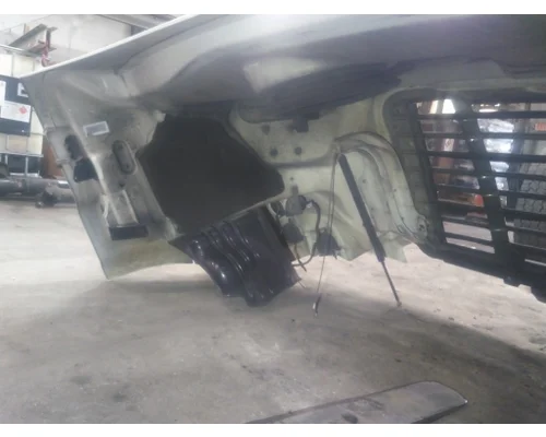 FREIGHTLINER CASCADIA 113 HOOD