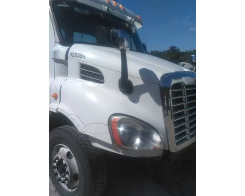 FREIGHTLINER CASCADIA 113 HOOD