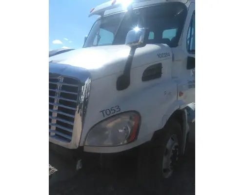FREIGHTLINER CASCADIA 113 HOOD