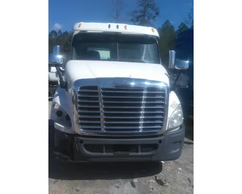 FREIGHTLINER CASCADIA 113 HOOD