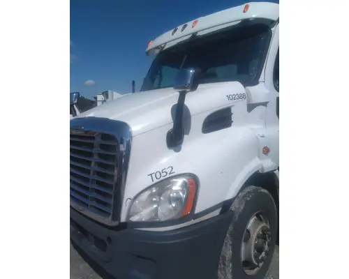 FREIGHTLINER CASCADIA 113 HOOD