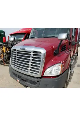 FREIGHTLINER CASCADIA 113 HOOD