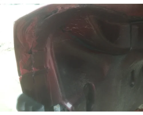 FREIGHTLINER CASCADIA 113 HOOD