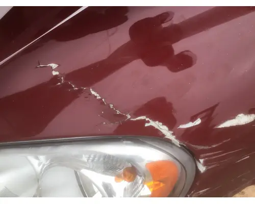 FREIGHTLINER CASCADIA 113 HOOD
