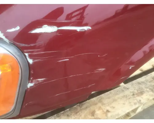 FREIGHTLINER CASCADIA 113 HOOD