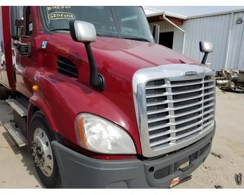 FREIGHTLINER CASCADIA 113 HOOD