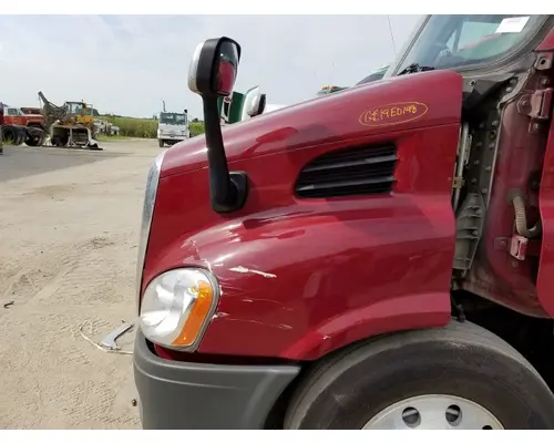 FREIGHTLINER CASCADIA 113 HOOD