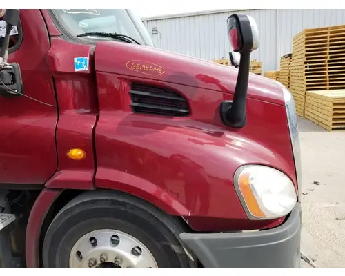 FREIGHTLINER CASCADIA 113 HOOD