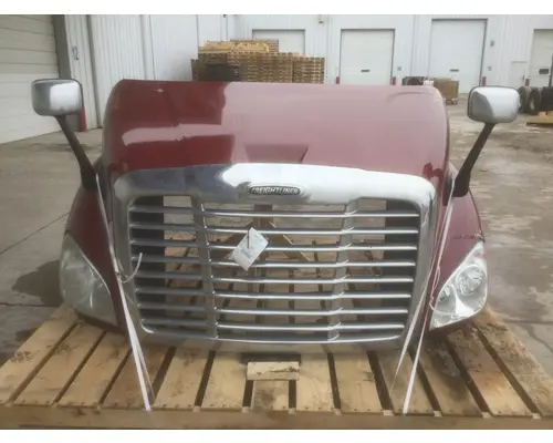 FREIGHTLINER CASCADIA 113 HOOD