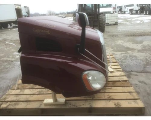FREIGHTLINER CASCADIA 113 HOOD