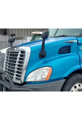FREIGHTLINER CASCADIA 113 HOOD