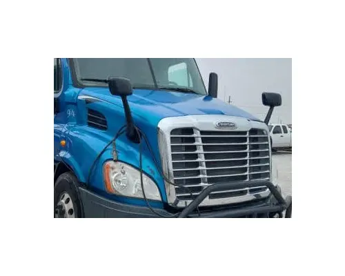 FREIGHTLINER CASCADIA 113 HOOD