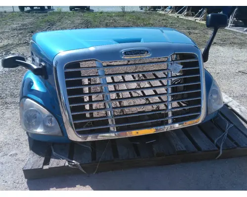 FREIGHTLINER CASCADIA 113 HOOD