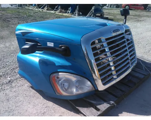 FREIGHTLINER CASCADIA 113 HOOD