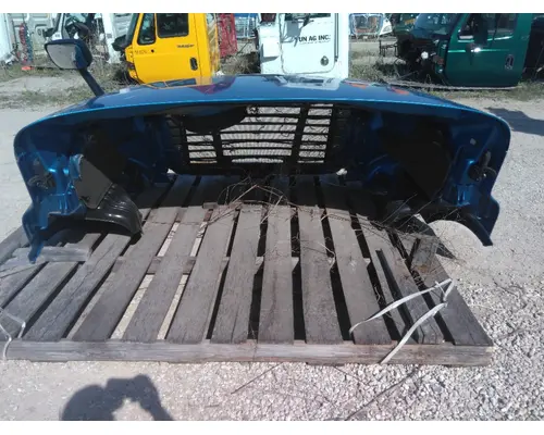 FREIGHTLINER CASCADIA 113 HOOD
