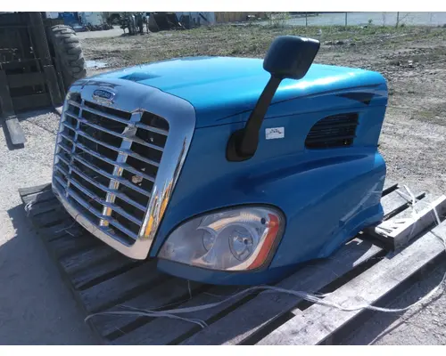 FREIGHTLINER CASCADIA 113 HOOD